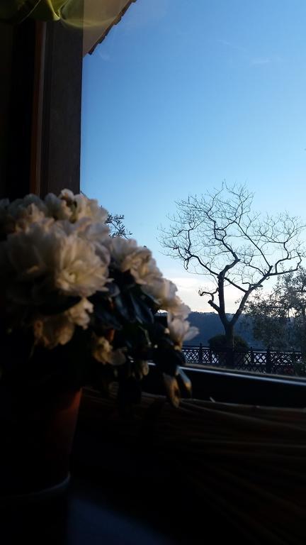 Hotel Villa Degli Angeli Castel Gandolfo Buitenkant foto